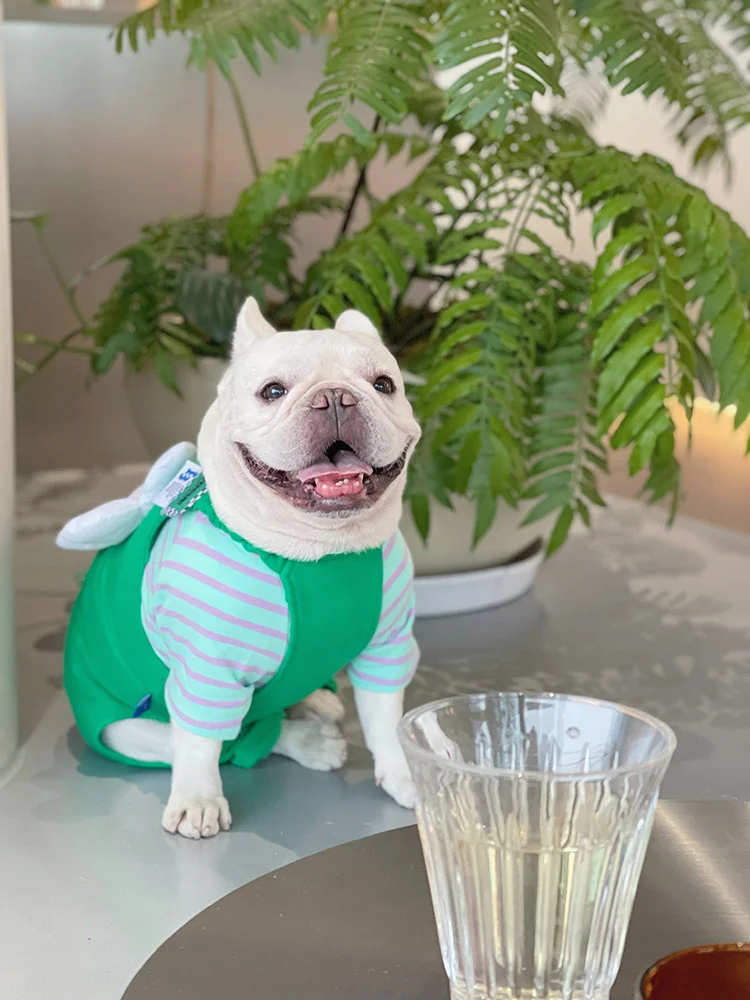 Four-legged Fleece Clothes for Pet - PeticaDeals
