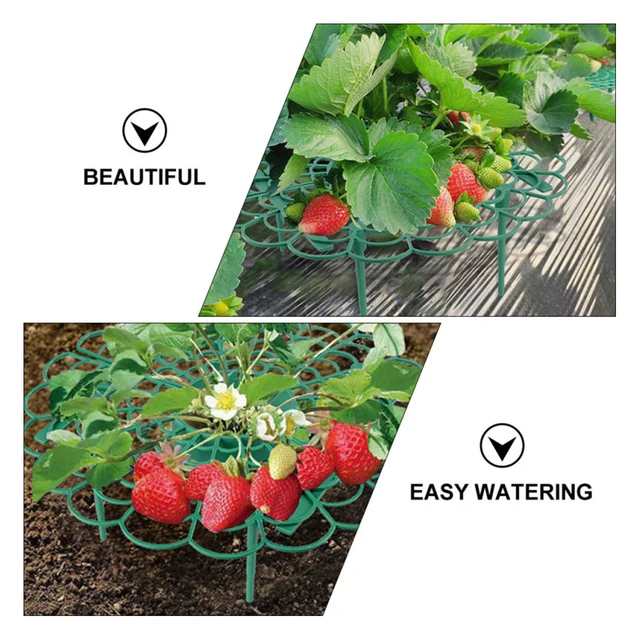 5/10/20Db Strawberry Támogató Eperkeret Tartó Erkély Ültetési Állvány Növényi Otthoni Kerti Dekorációhoz - Image 4
