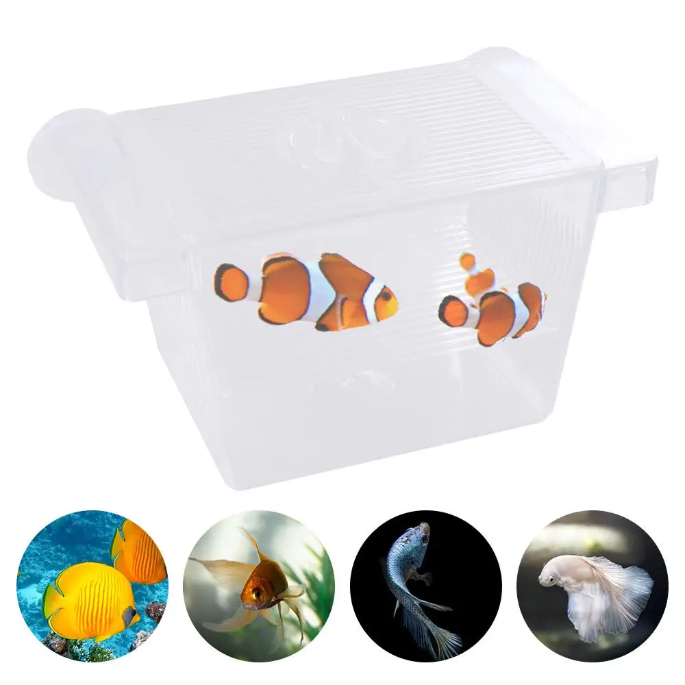 Fish Breeding Box Fish Tank Breeding Isolation Box Transparent Acrylic with Suction Cups Shrimp Clownfish Baby Hatchery
