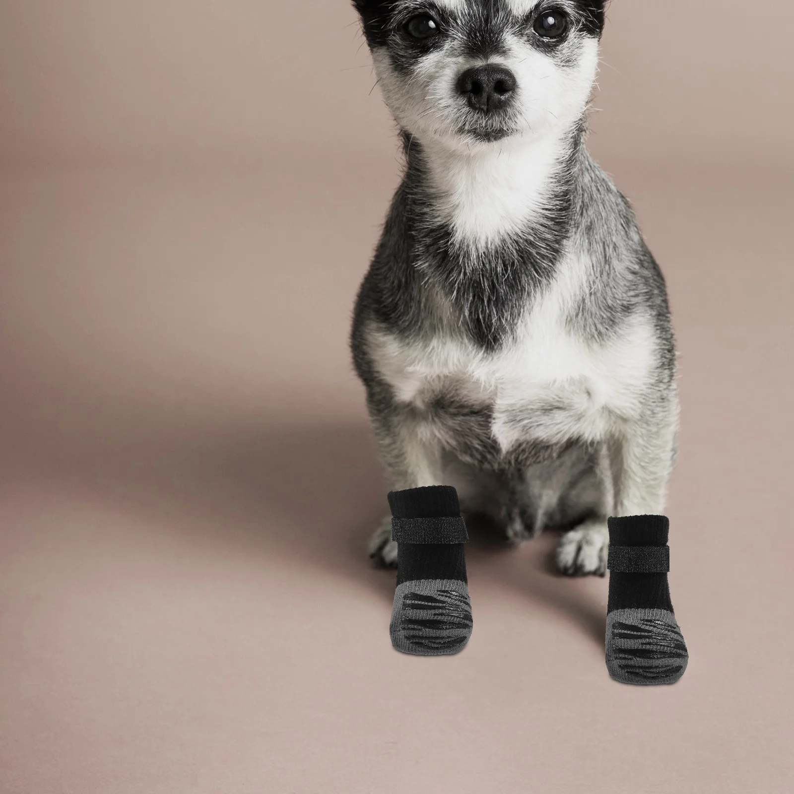 

4pcs Anti-wear Pet Socks Outdoor Pet Socks Breathable Dog Shoes Socks Dog Paw Protectors(S)
