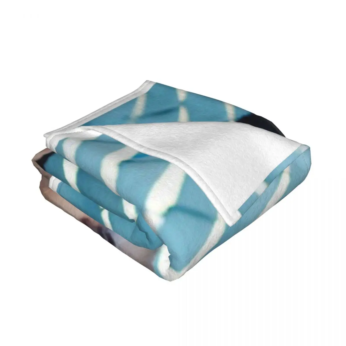 Enrique Iglesias ���̺� �ܼ�Ʈ ���� 2019 NetTV ��� ħ�뺸, ħ�� �� ��Ƽ�� ���� ħ��