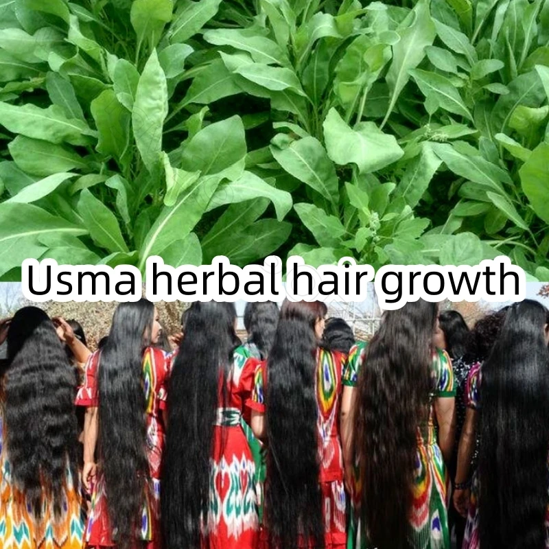 Shampoo Solido alle Erbe Usma Grass Platycladus per la Crescita dei Capelli, Trattamento per la Cura del Cuoio Capelluto, Ispessimento dei Capelli per Uomini e Donne - immagine 5