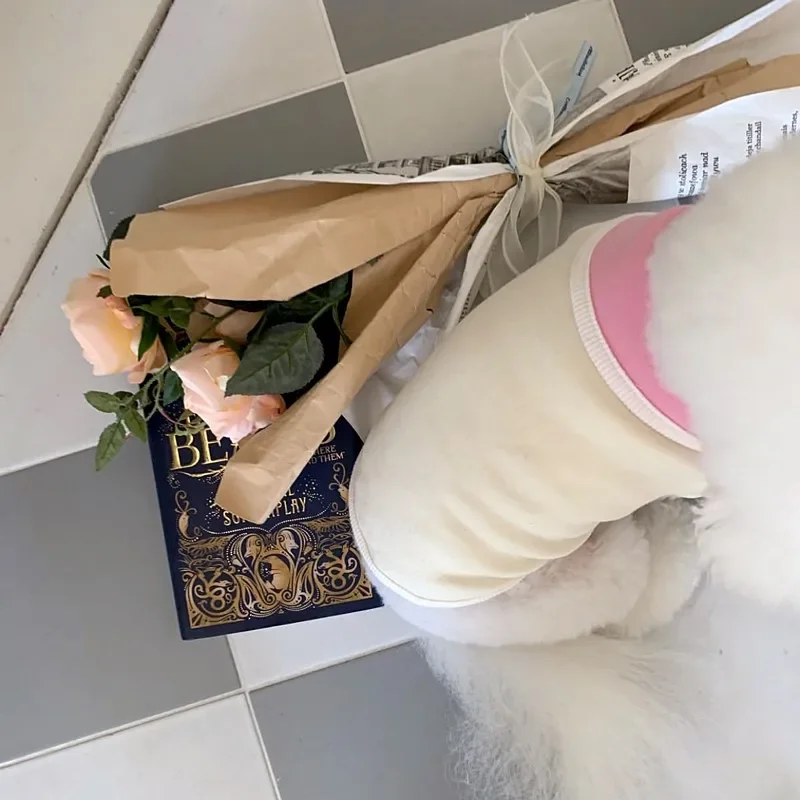 귀여운 강아지 옷 라펠 티셔츠, 테디 베어, 슈나우저, 말티즈 강아지, 코스튬 개 조끼, 강아지 셔츠, 강아지 의류, 여름