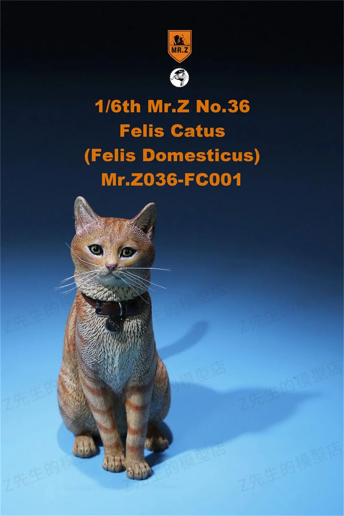 Mr.Z Studio 1:6 Cute Domestic Cat Pet Healing Figure Felidae