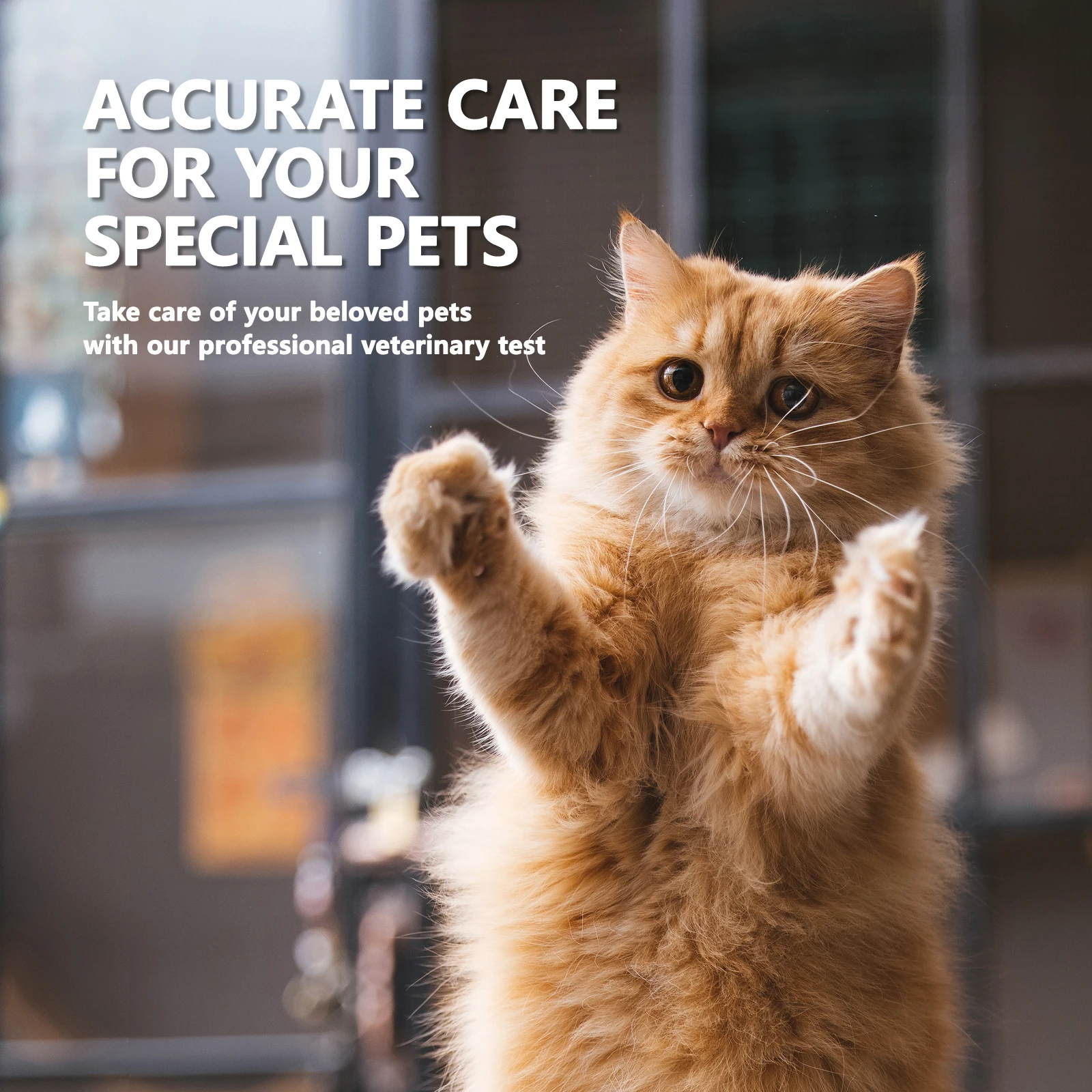 50Pcs FPV+FCOV+GIA 3-in-1 Combo Rapid Test Kit Cats Kitten Home Health Detection