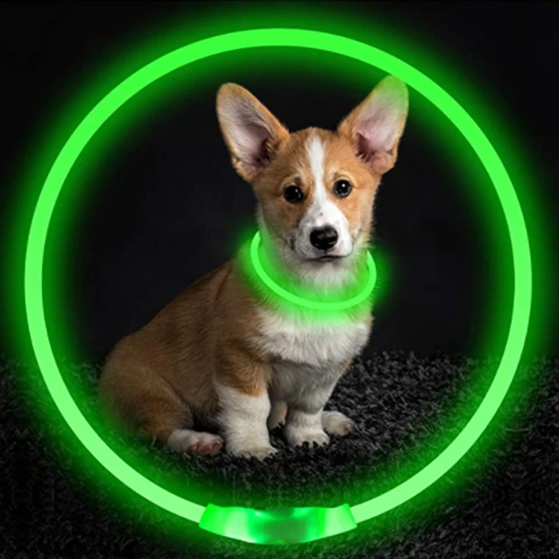 Led Glowing Adjustable Night Light Dog Collar Leash For Girl Small Dogs Cat Pet Safety Accessories dog leash,dog collar,pet collar