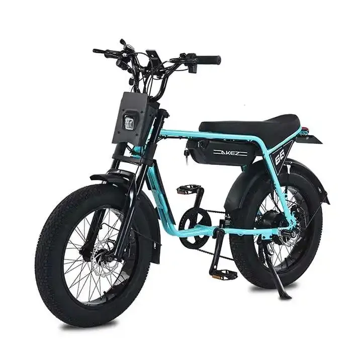 AKEZ Electric Bike Adults 20" Fat Tire 750W Motor Ebike Electric Mountain Snow Bike 48V 13AH Battery Front Fork Suspension