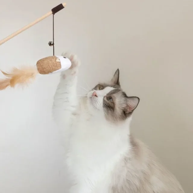 1PC Teaser Feather Toys Kitten Funny Colorful Rod Cat Wand Toys Wood Pet Cat Toys Interactive Stick Pet Cat Supplies 3