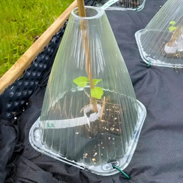 5 db Növényvédő Burkolatok Csengő Alak Időjárásálló Védekezők Fagyállóság Tiszta Cseppvédővédő - Image 2