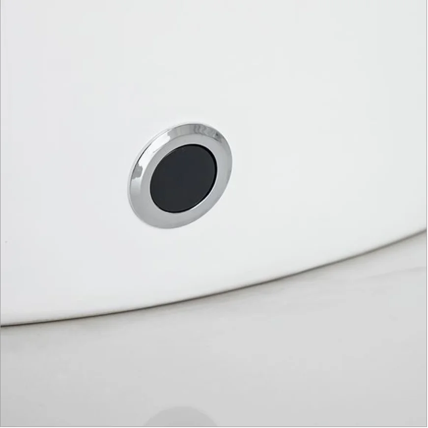 Intelligent Bidet Toilet Seat