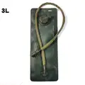 3L