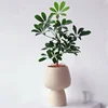 Nordic Creative High Foot Simple White Ceramic Flower Pot, Light Luxury Home Room Decoration, Modern Decorative Vase ins 2