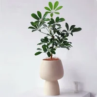 Nordic Creative High Foot Simple White Ceramic Flower Pot, Light Luxury Home Room Decoration, Modern Decorative Vase ins 2