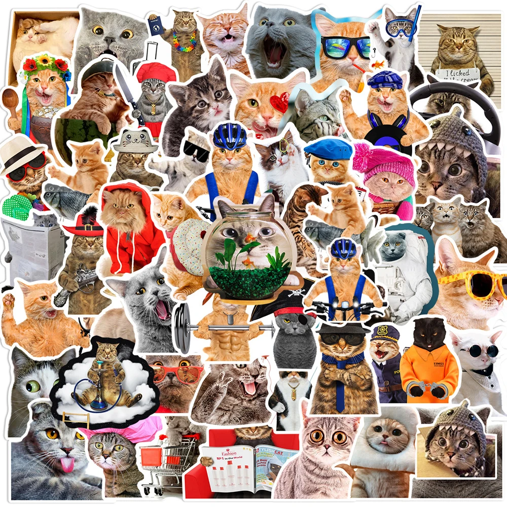 

10/30/66pcs Kawaii Funny Cat Stickers Cute Cartoon Decals Skateboard Notebook Luggage Phone Bike PVC Car Animal Graffiti Sticker