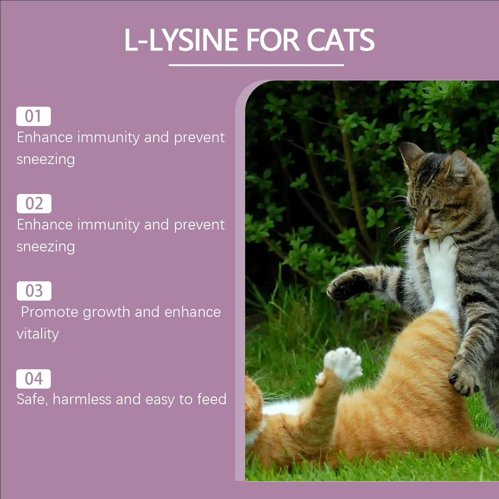 Feline L-lysine tablets For Cats Tablet To Enhance The Immunity Of Pet Cats,Keep Cats In Good Health Natural Ingredients
