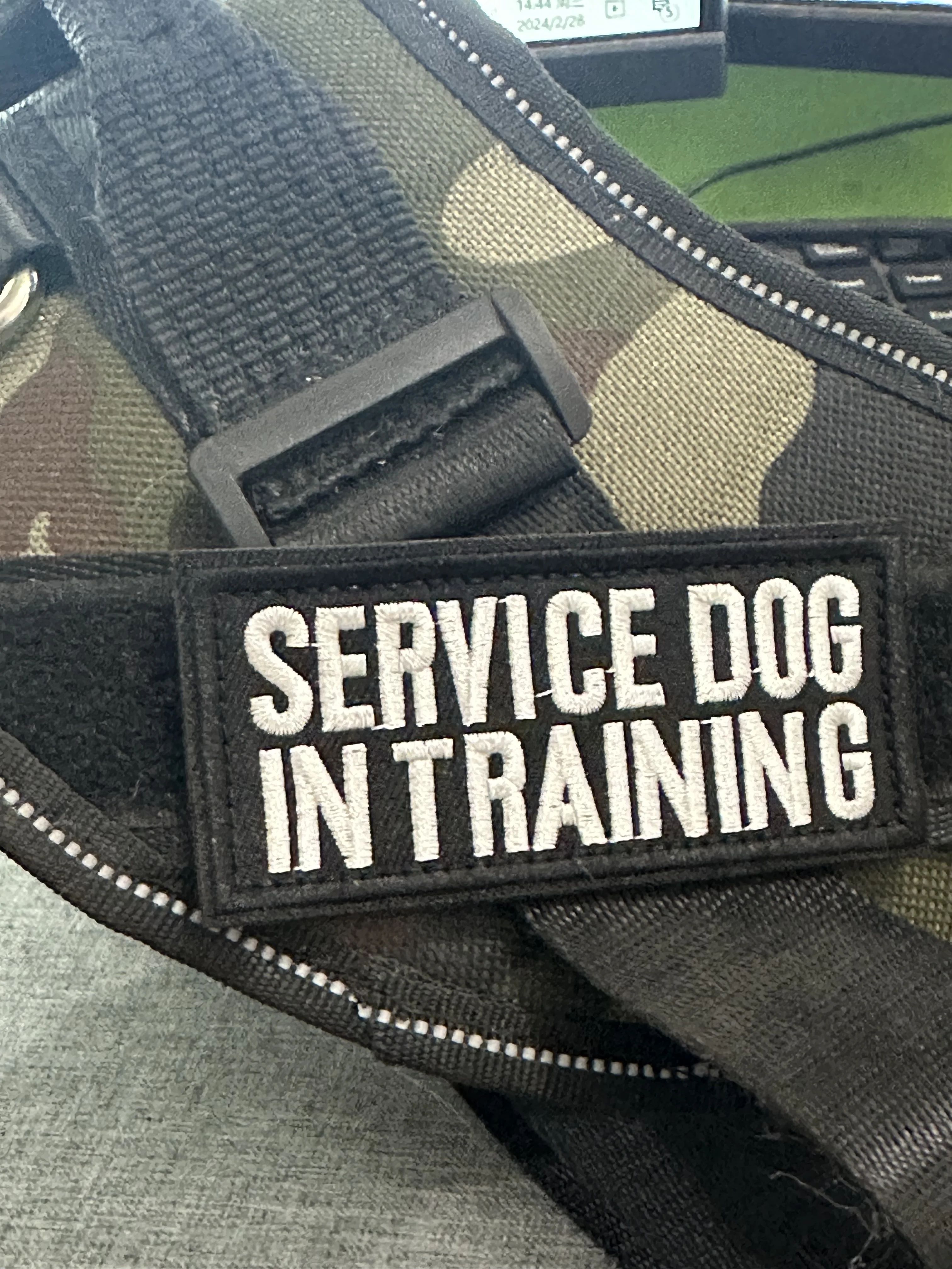 Dog Security Patches Therapy Dog Security Patches Keep Your Pet Service Dog Service In Training Safe & Secure No Touch No Talk