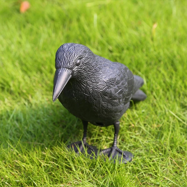 Finto caccia agli uccelli realistico cortile nero corvo caccia