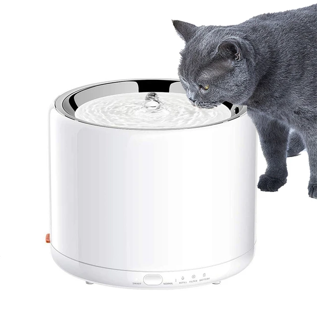 Fontaine à boire automatique pour animaux de compagnie, filtre, acier  inoxydable, capteur, pompe à eau silencieuse, chats et chiens - AliExpress