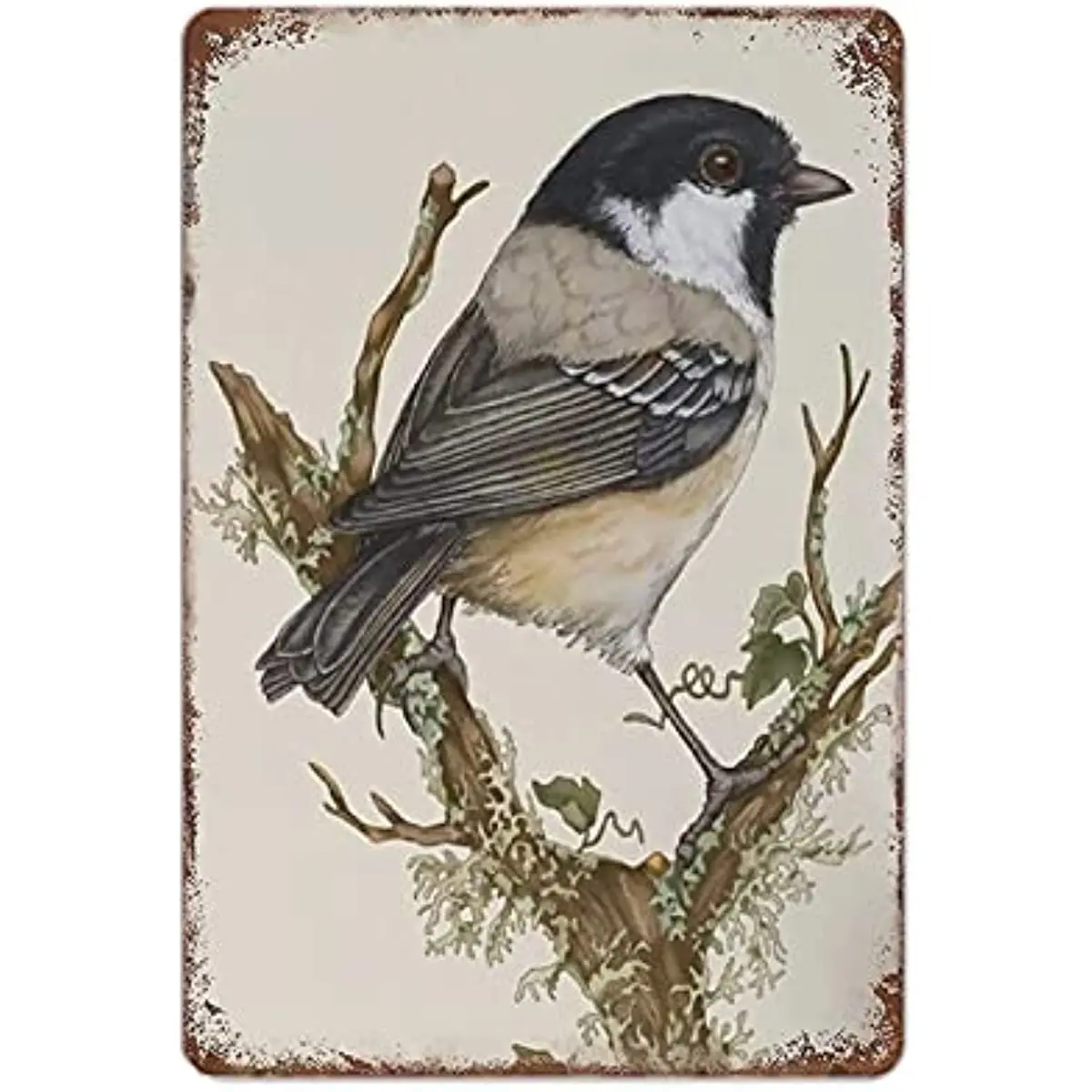 

New Metal Tin Sign Vintage Chickadee Bird Chickadee Bird Wildlife Kitchen Club Coffee Shop for Home, Living Room Garden Bedroom