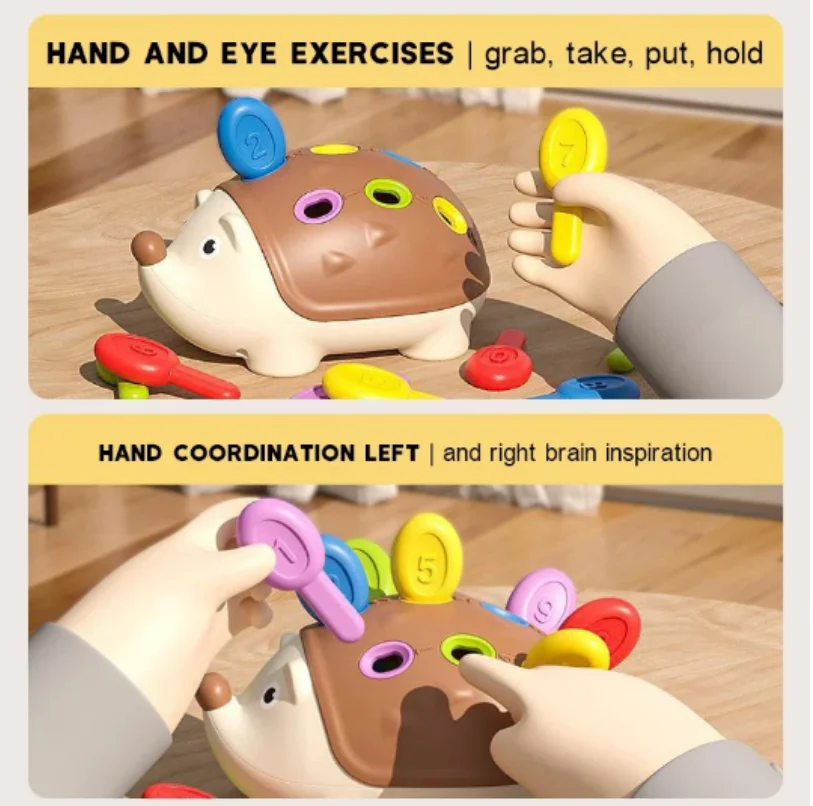 Montessori Hedgehog Baby Toy cognitive and coordination skills development