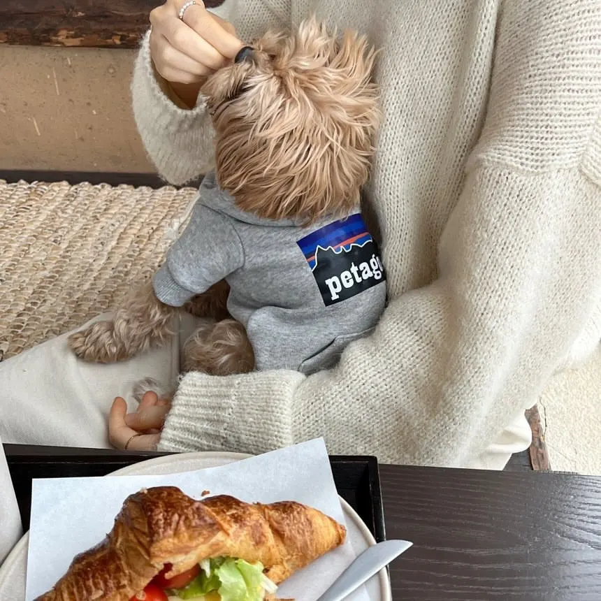 Dog Hoodie Jacket 4