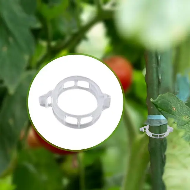 Paradicsomhörhorog 10Db Szőlőhorgok 20 Klipekkel Paradicsom Tartóhorgok 15 Méteres Zsineggel Az Üvegházhatású Kert Hegymászáshoz - Image 2