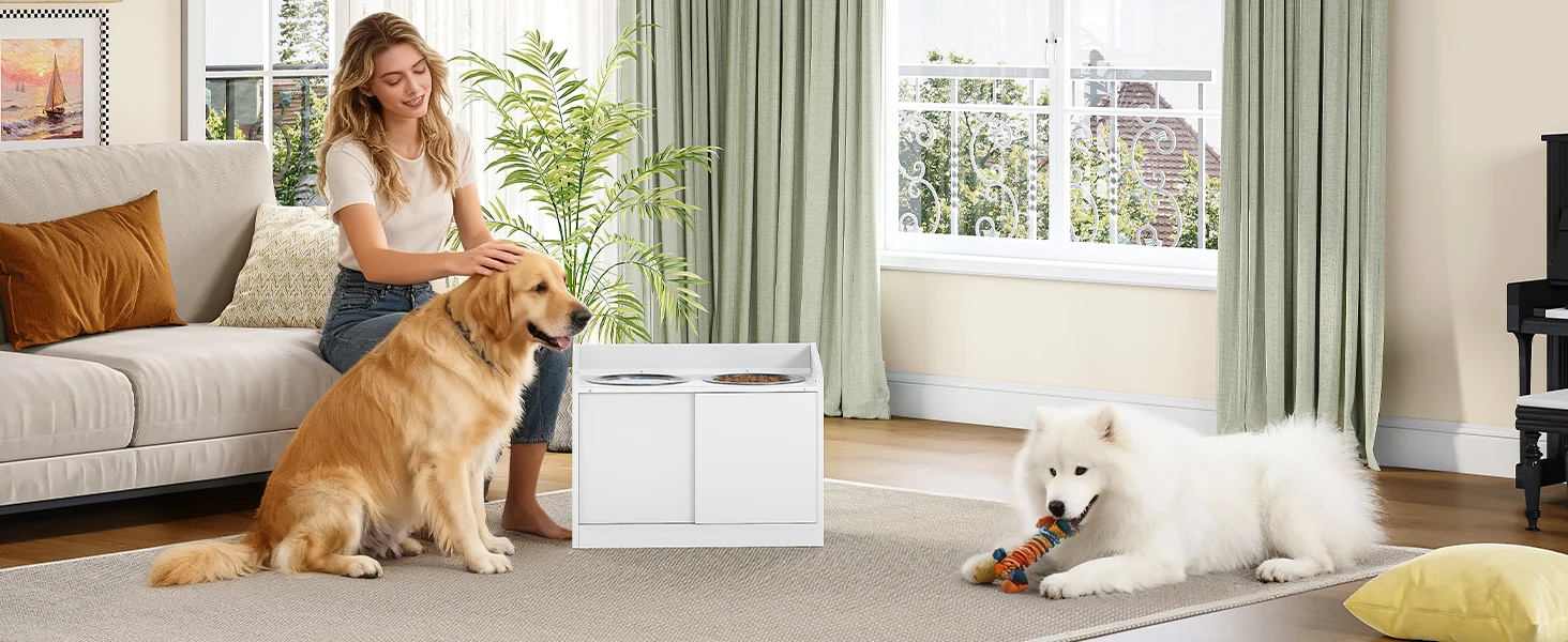 Bol surélevé pour chien