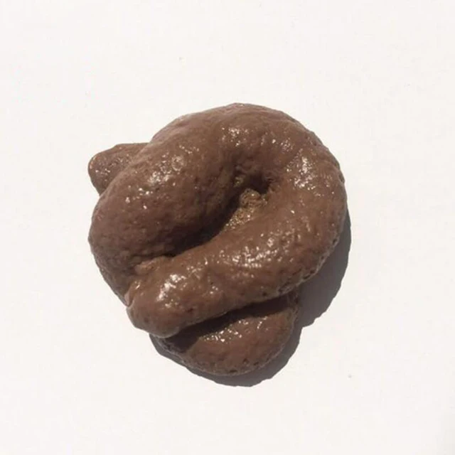 Fake Poop Funny Joke Tricky Toys Mischief Turd Gag Realistic Shits Poop Fake Turd Classic Antistress Gadget Squish Toys 1