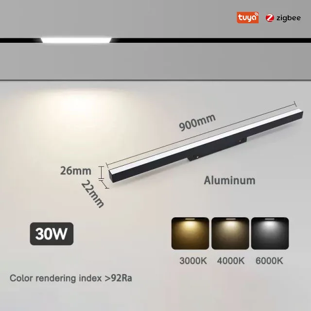 Floodlight 30W