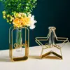 Hollow Geometric Golden Glass Vase Hydroponic Plant Holder Iron Flower Planter Hydroponic Container home decor ваза для цветов 5
