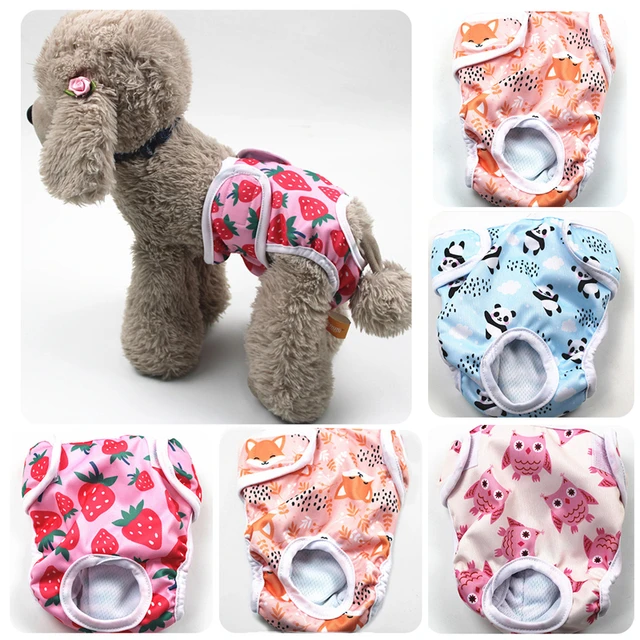 Dog Diapers Physiological Pant Puppy Women's Panties Shorts Underwear  Washable Female Dog Diper Panties Pet Dog Cat Clothes - AliExpress