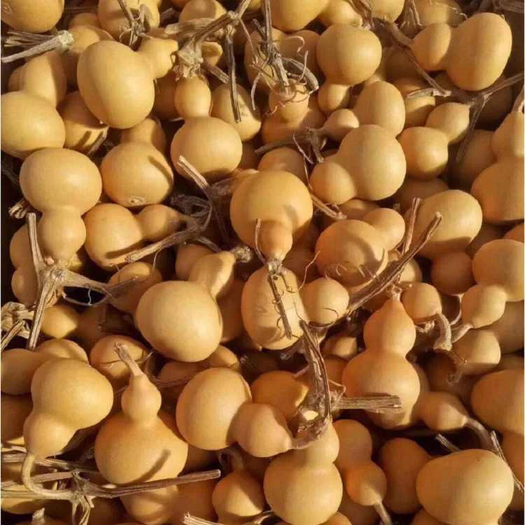 20 Zucche Secche Naturali Per Lavoretti Fai Da Te - Dimensioni 4-6 Cm, Con Gambo, Pronte Per Decorare E Dipingere - 10