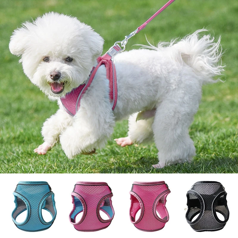 

Воздухопроницаемая сетчатая Подвеска для маленьких собак