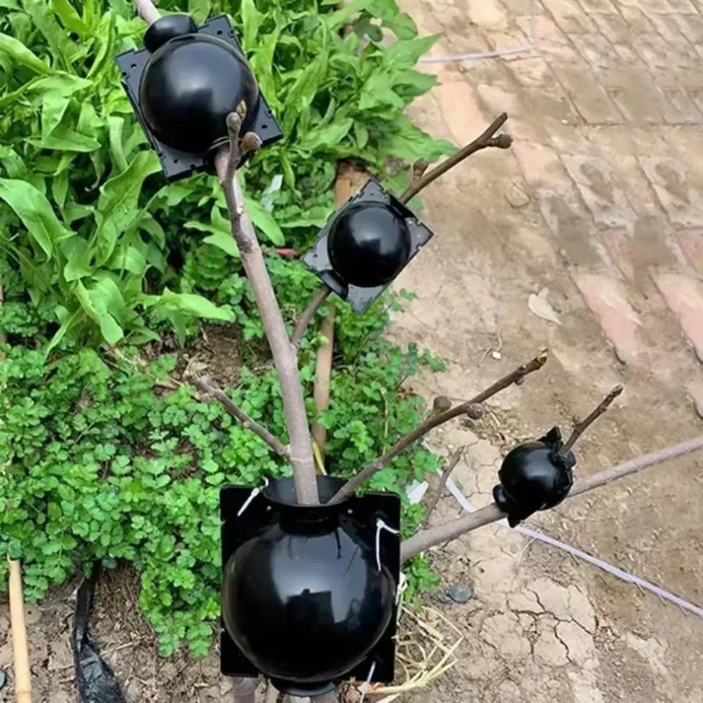 Botanical Rooting Propagation System - Garden Planting Supplies & Accessories