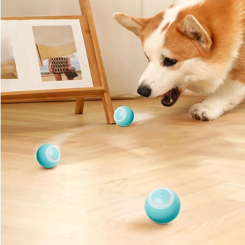 https://ae01.alicdn.com/kf/Sd574ceaf966a4c56ad598eb70fbdc414Z/Electric-Ball-Toys-For-Dogs-Puppy-Smart-Dog-Toys-Funny-Games-Ball-Auto-Rolling-Ball-Self.jpg