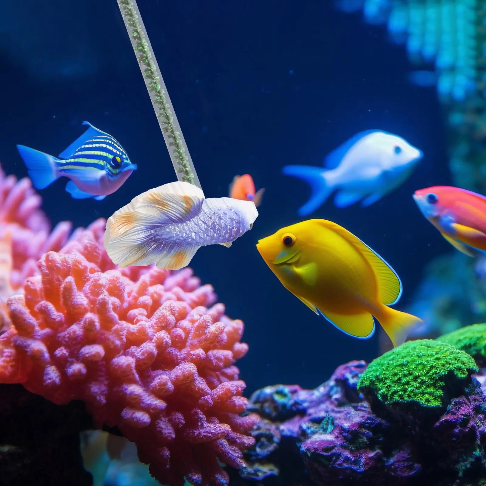 Fish Betta Active Plaything Training Stick Virtual Tank Resin Decorative