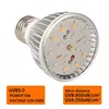 Sd57712d779be48248505b236371534325