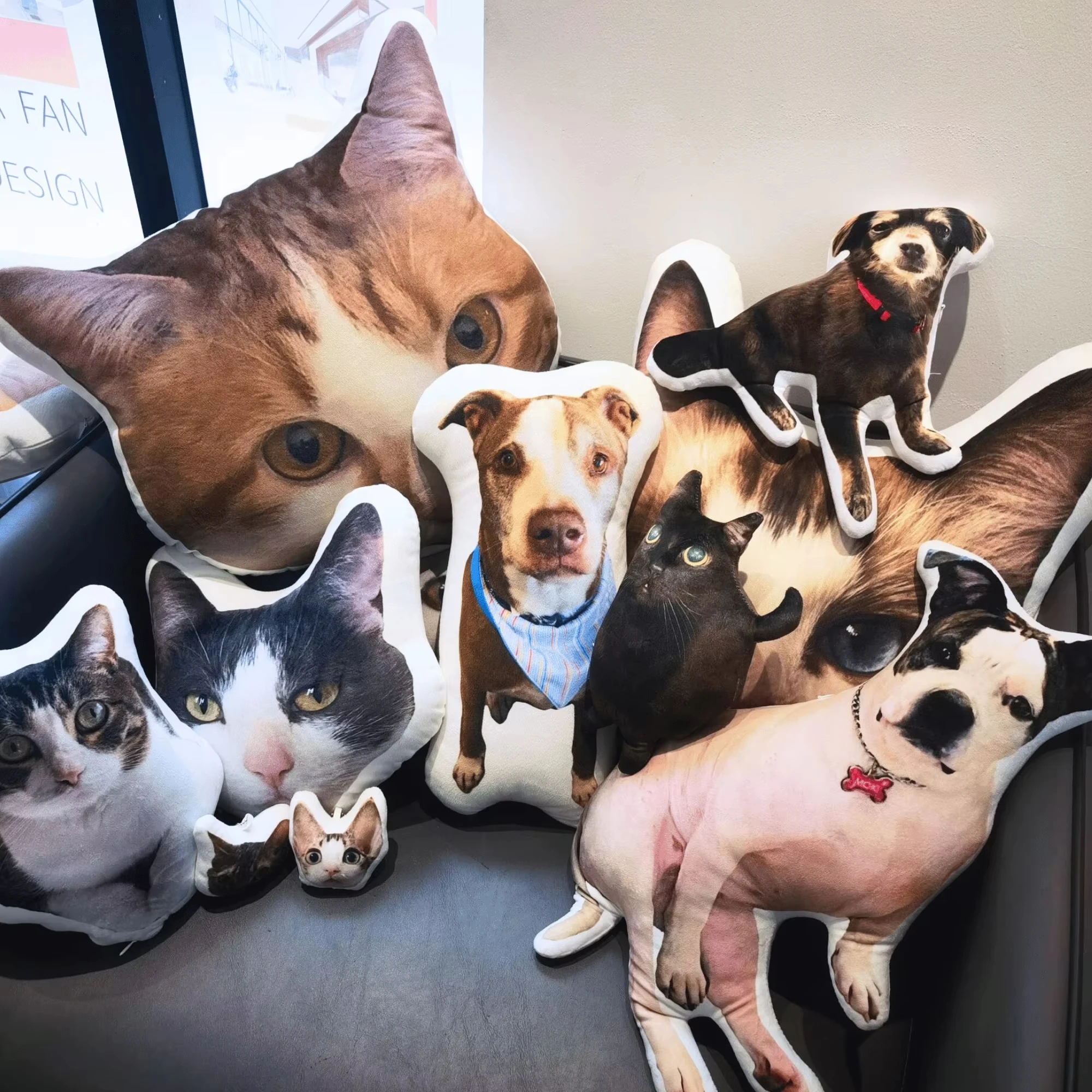 Pets Cushion Personalized Filling Pets Photo Cushion DIY Pillow for Putting Picture of Cats and Dogs Home Decor