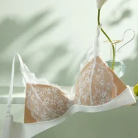 SUJIIN Sexy Wireless Lace Bras for Women Summer Push Up Plunge Deep V Small Chest Bra Lady French Breathable Lingeries MX326 - Image 2