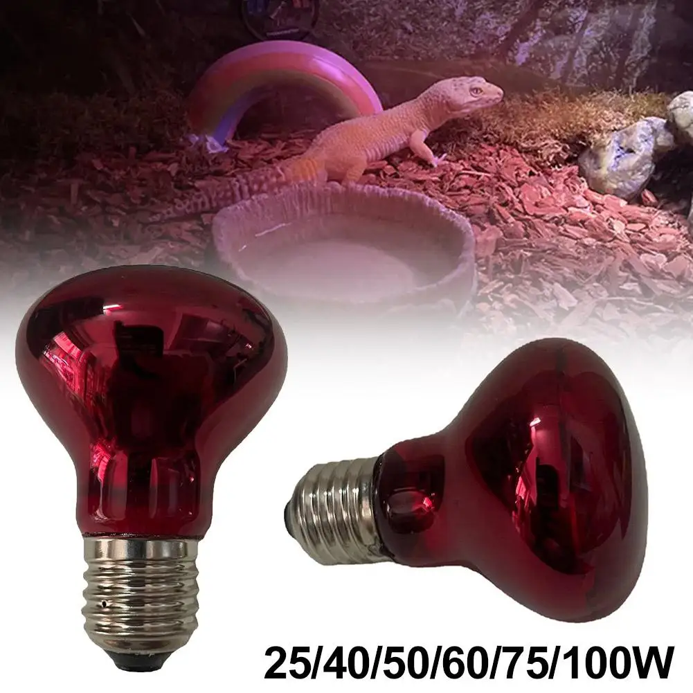 220V Heating Bulb Poultry & Reptile 3