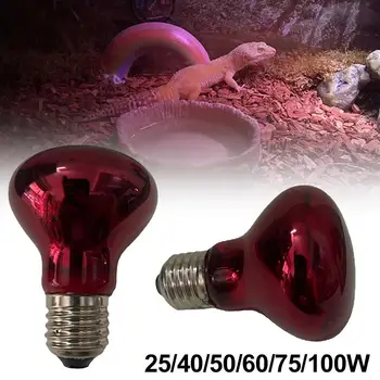 220V Heating Bulb Poultry & Reptile 3