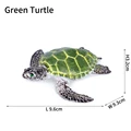 Green Turtle