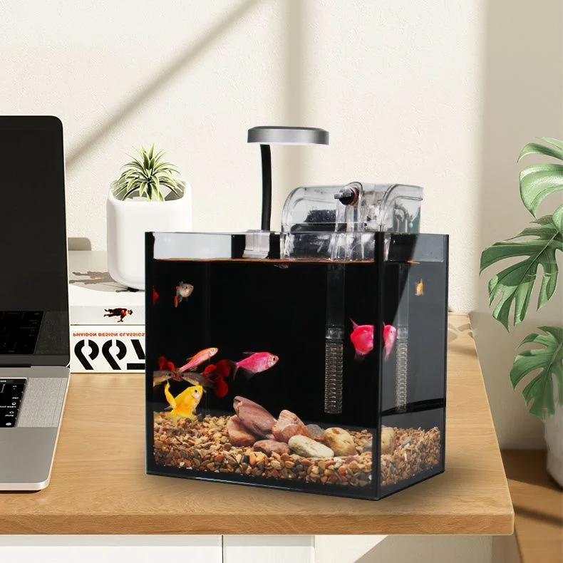 hW6VgvKkztTTScGIPNxnyl45xGUJBoe9mSc8