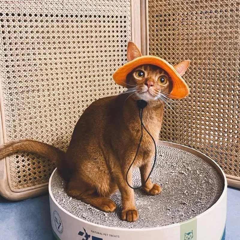 귀 구멍이 있는 코튼 고양이 모자, 스핑크스 털 없는 고양이, 새끼 고양이 데본 렉스 자외선 차단, 여행 하이킹 타이 염료 조절 가능 모자