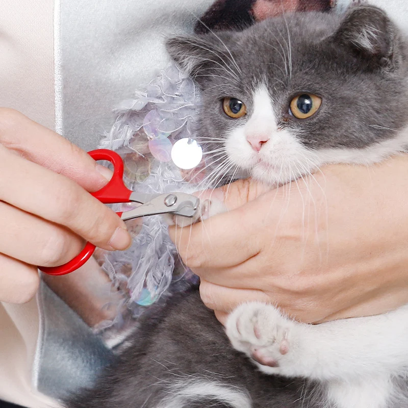 Professional Stainless Steel Cat Nail Scissors Pet Dog Nail Clippers Toe Claw Trimmer Pet Grooming Supplies Products 6