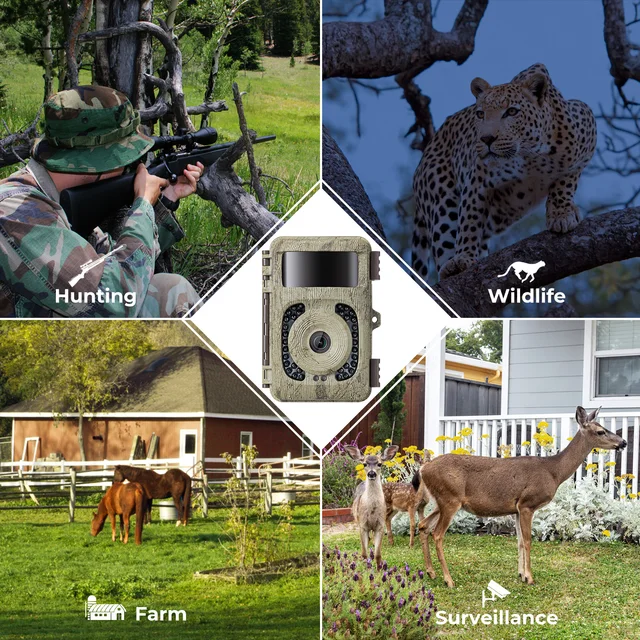 Trail Camera with Night Vision 6