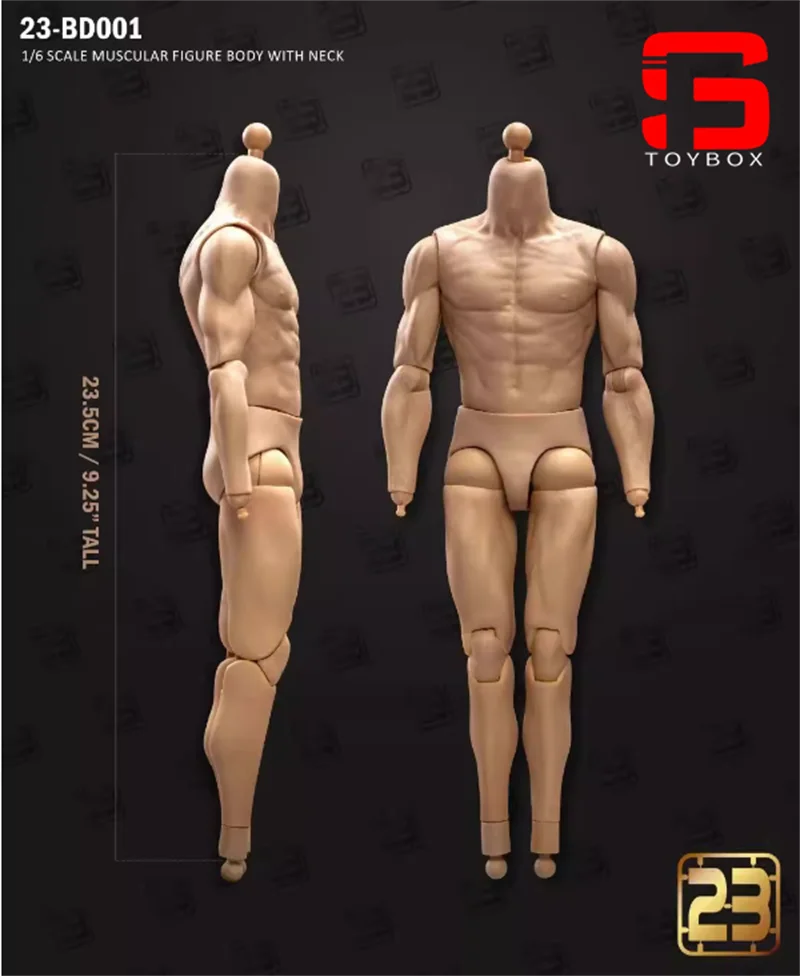 HiPlay Testa Scolpita Per Action Figure 1/6 - Volto Maschile Realistico In PVC Per Corpo Da 30,5 Cm, HS022 - 3