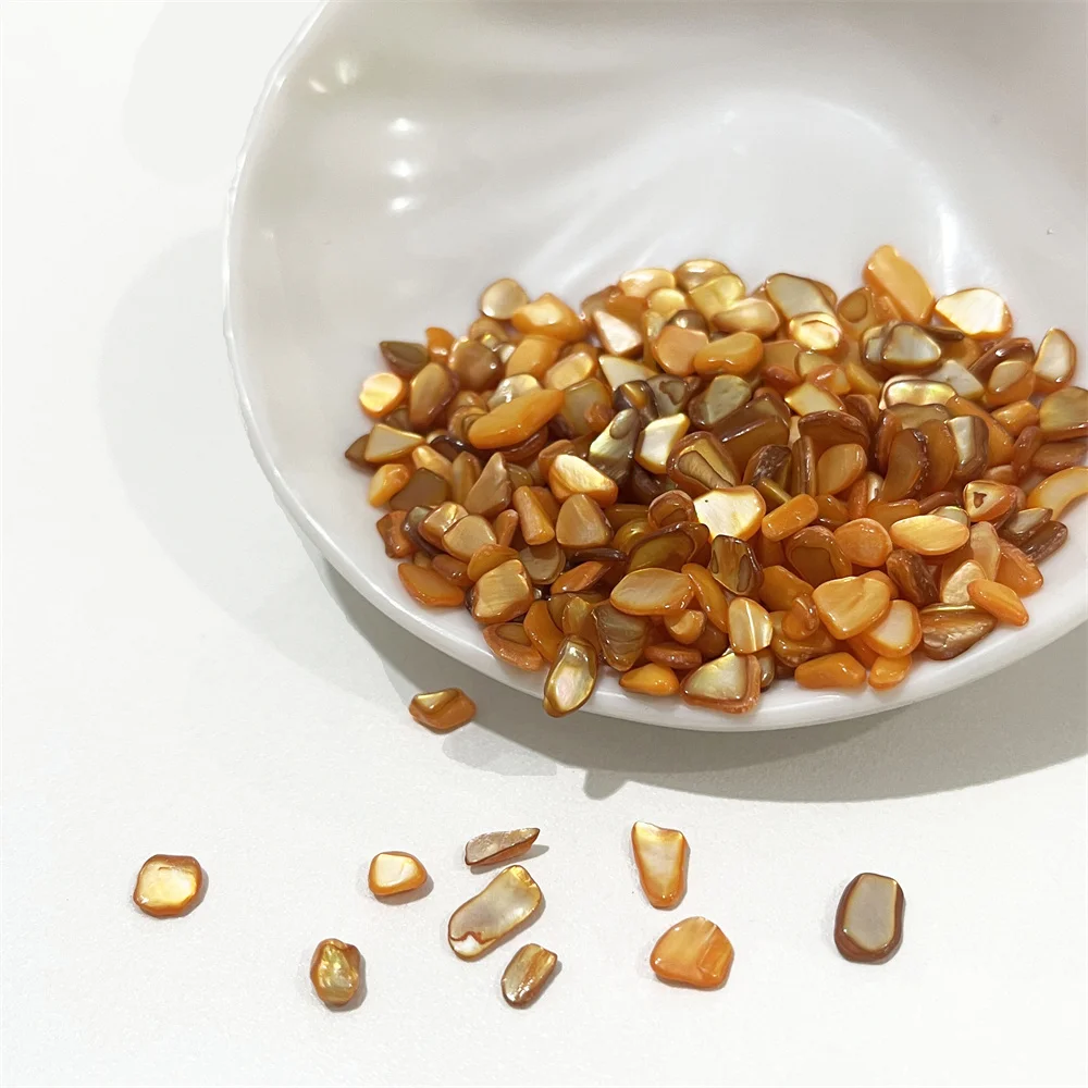 Vibrant Natural Crushed Shell Beads for Weddings, Vase Fillers, Home Decor, and Crafts