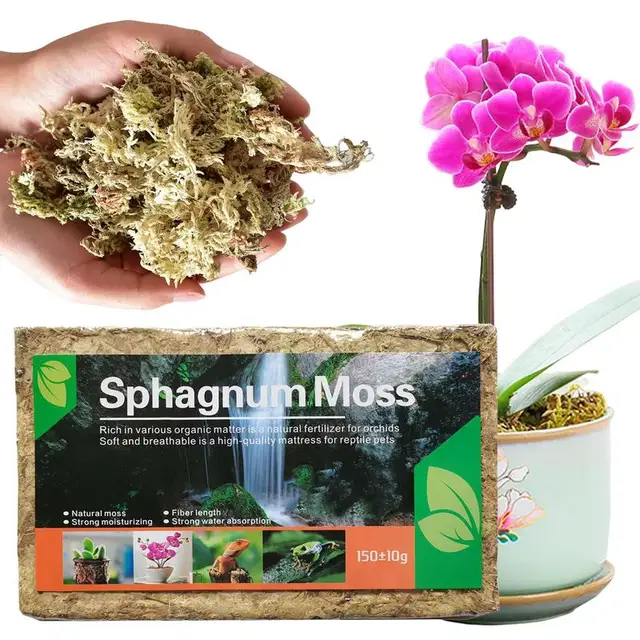 Sphagnum Moha Hidratáló Táplálkozási Szerves Műtrágya Phalaenopsis Orchidea Természetes Műtrágyák - Image 3