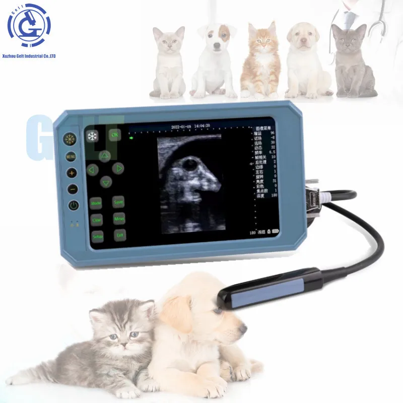 G-V110 Veterinary Handheld Sonar Ultrasound Goat Sheep Ultrasound for Small Shape Animals